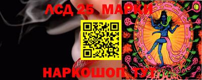 крисы Кунгур