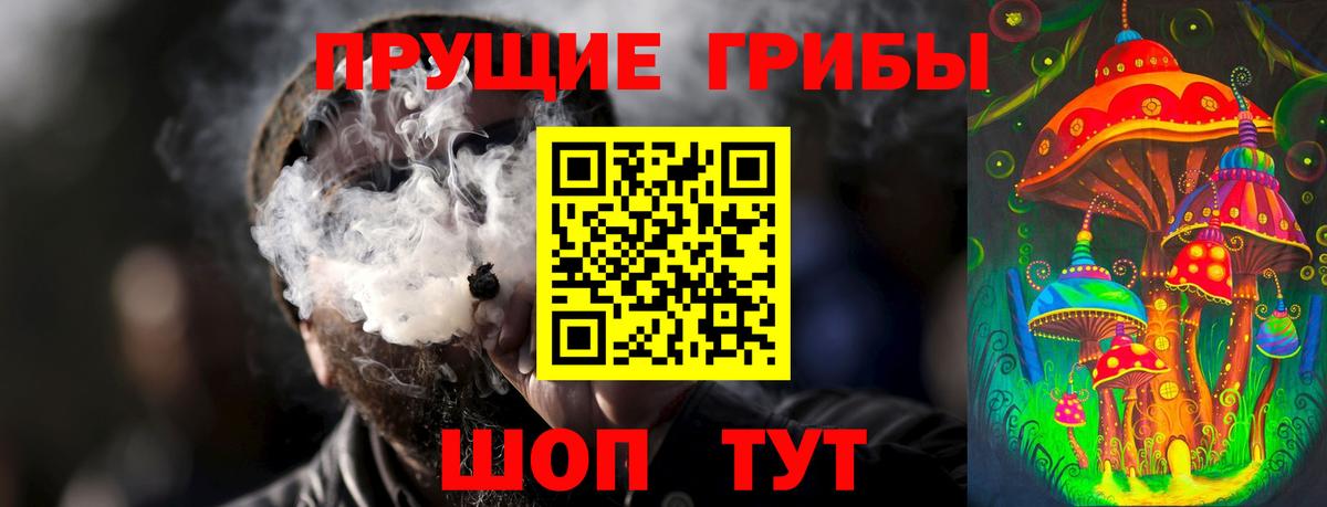 Псилоцибиновые грибы MAGIC MUSHROOMS Гусиноозёрск